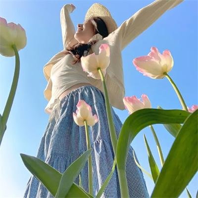 霹雳玫瑰